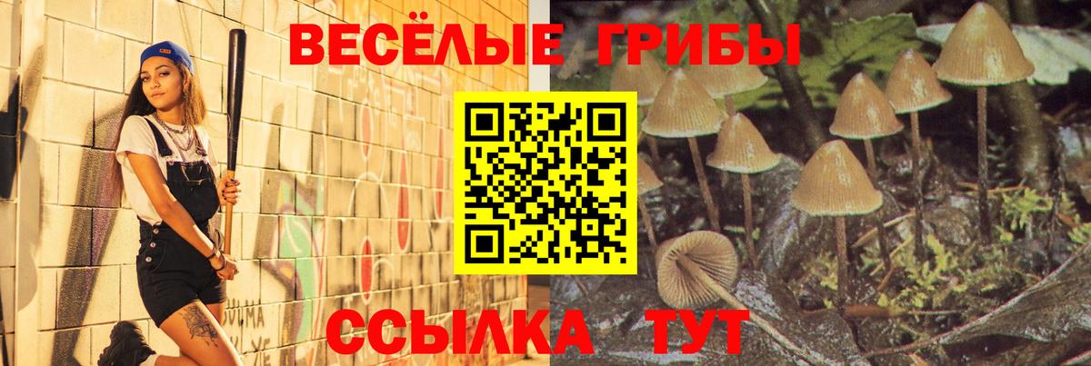 Уссурийск  Псилоцибиновые грибы Psilocybine cubensis  Вход с VPN 