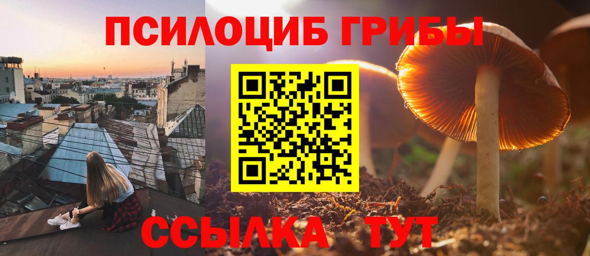Галлюциногенные грибы GOLDEN TEACHER Уссурийск